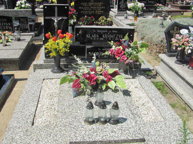 Grób Andrzej Krawczyk