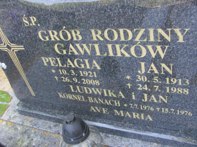 Jan Gawlik 1885 Wieruszów podzamcze - Grobonet - Wyszukiwarka osób pochowanych
